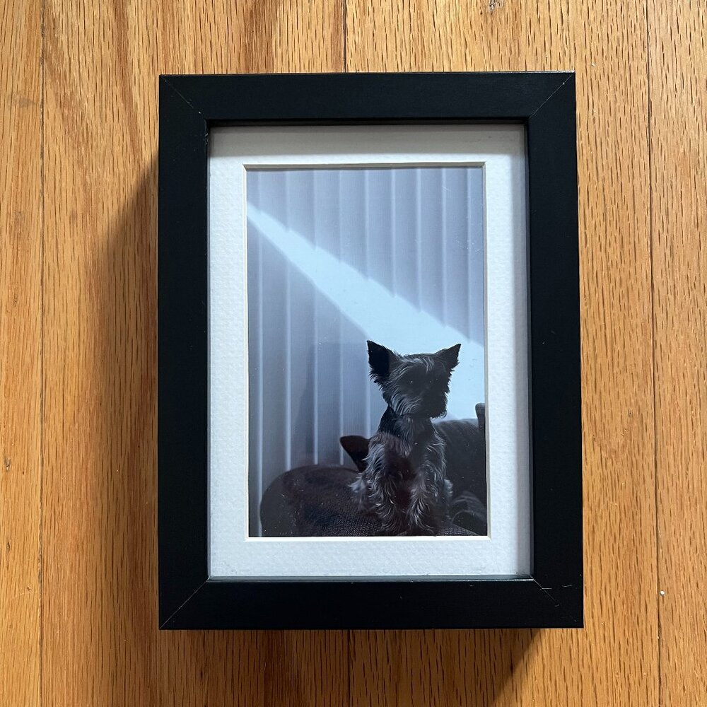 One of a kind Yorkie Home Accent